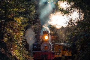 New Junior Ranger Railroad Program available through the National Parks Foundation