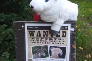 National Park Service Celebrates 104th Anniversary!