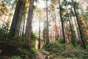 Best Outdoor Activity in Every State!