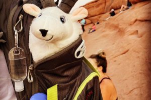 Where is the best place to live if you love visiting our National Parks?