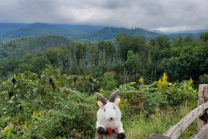 Explore Lesser Known Areas in Popular National Parks